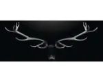 Hornbach Glasbild Deer Antler 30x80 cm GLA2030