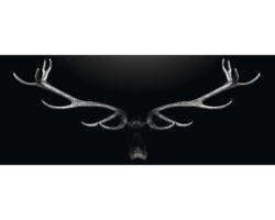 Glasbild Deer Antler 30x80 cm GLA2030