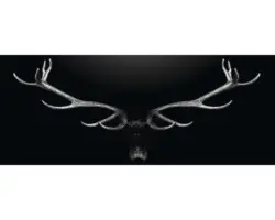 Glasbild Deer Antler 30x80 cm GLA2030