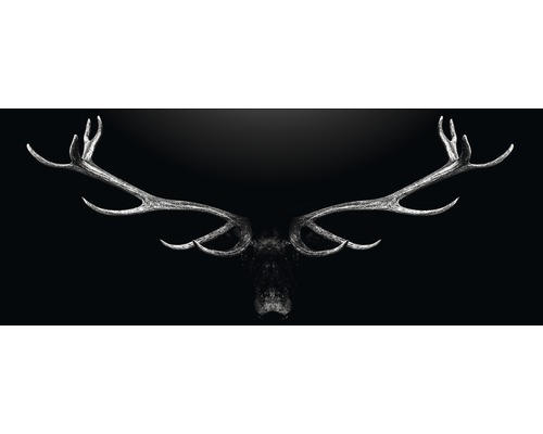 Glasbild Deer Antler 30x80 cm GLA2030