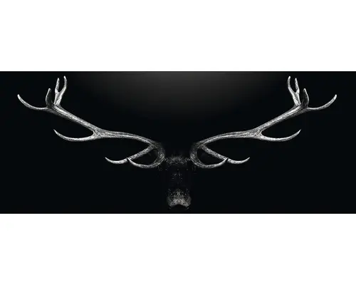 Glasbild Deer Antler 30x80 cm GLA2030