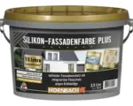 Hornbach HORNBACH Silikon-Fassadenfarbe Plus weiß 2,5 l