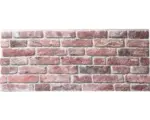 Hornbach EPS Schaumstoff Wandpaneel Rebel of Styles Ultra Light 50,0x120,0 cm rot