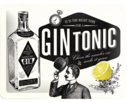 Blechschild Gin Tonic 20x15 cm