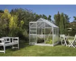 Hornbach Gewächshaus Vitavia Comet 3800 Hohlkammerplatten 4 mm inkl. Fundament 195x195 cm Aluminium Eloxiert