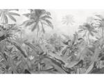 Hornbach Fototapete Vlies P013-VD4 Pure Amazonia Black and White 4-tlg. 400 x 250 cm