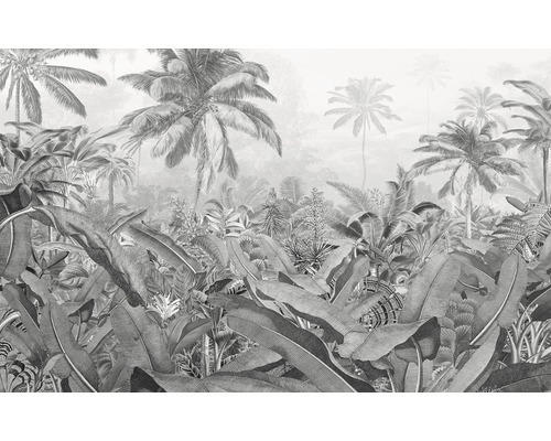 Fototapete Vlies P013-VD4 Pure Amazonia Black and White 4-tlg. 400 x 250 cm