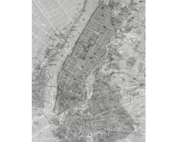 Fototapete Vlies P033-VD2 NYC Map 2-tlg. 200 x 250 cm