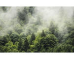 Hornbach Fototapete Vlies PSH061-VD4 Pure Forest Land 4-tlg. 400 x 250 cm