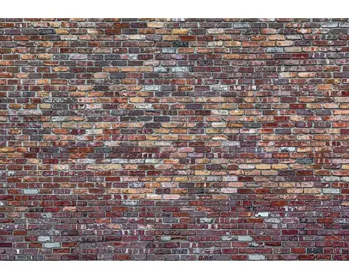 Fototapete 11975V8 Vlies Mauer 368x254 cm