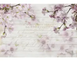 Fototapete Vlies 12064V4 Kirschblüten 2-tlg. 254x184 cm