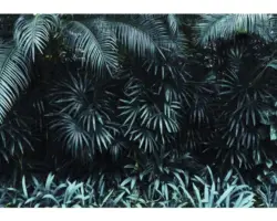 Fototapete 12666P8 Papier Blätter 368x254 cm