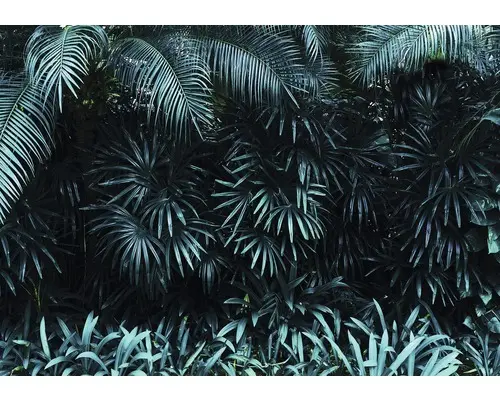 Fototapete 12666P8 Papier Blätter 368x254 cm