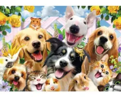 Fototapete 12872V8 Vlies Tier-Selfies Hunde 368x254 cm