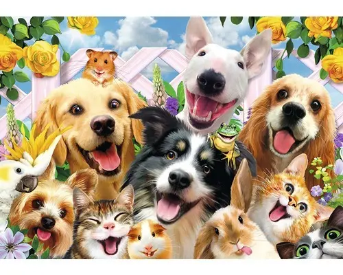 Fototapete 12872V8 Vlies Tier-Selfies Hunde 368x254 cm