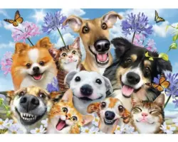 Fototapete 12873P8 Papier Tier-Selfies Hunde 368x254 cm