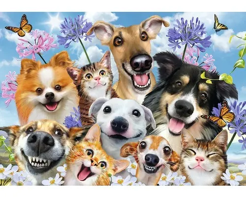 Fototapete 12873P8 Papier Tier-Selfies Hunde 368x254 cm