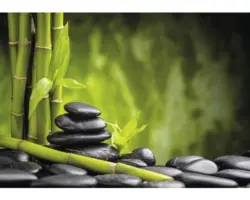 Fototapete 13036P8 Papier SPA Bambus 368x254 cm