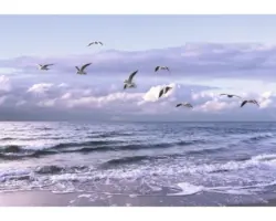 Fototapete Papier 13051P4 Meer 2-tlg. 254x184 cm