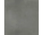 Hornbach Feinsteinzeug Bodenfliese New Concrete 60,0x60,0 cm grau matt rektifiziert