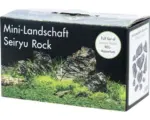Hornbach Deko-Set Mini-Landschaft für 80L Aqua