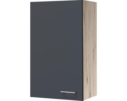 Hängeschrank Flex Well Tiago basaltgrau 50x89x32 cm mit Drehtür