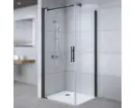 Hornbach Drehtür für Seitenwand Breuer Europa Design 800x2000 mm Anschlag links Echtglas Klar hell schwarz