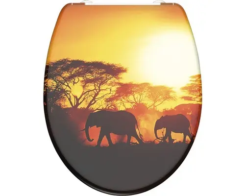 WC-Sitz Schütte Afrika mit Absenkautomatik