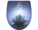 Hornbach WC-Sitz Schütte Water Lily mit Absenkautomatik