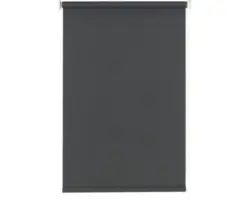 Tageslicht-Rollo uni anthrazit 80x175 cm