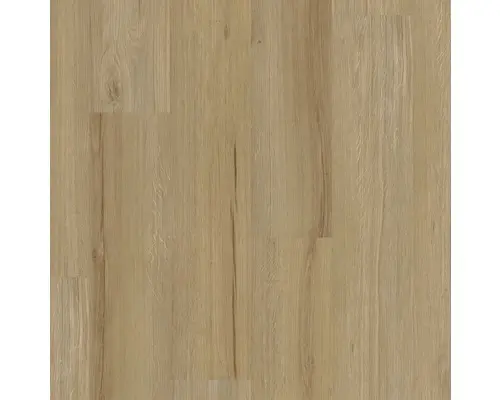 Vinylboden 4.2 Campeon