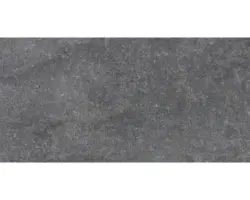 Feinsteinzeug Bodenfliese Udine 30,0x60,0 cm schwarz matt rektifiziert