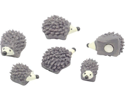 Dekomagnet Hedgehog 6er-Set grau