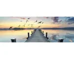 Hornbach Decopanel Flying Birds 48x138 cm