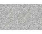 Hornbach Handmuster zu FLAIRSTONE Granit Terrassenplatte Iceland white grau 60 x 40 cm