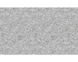 Handmuster zu FLAIRSTONE Granit Terrassenplatte Iceland white grau 60 x 40 cm