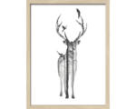 Hornbach Gerahmtes Bild Deer With Birds 33x43 cm
