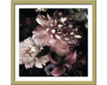Hornbach Gerahmtes Bild Beautiful Roses 33x33 cm