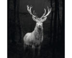 Hornbach Leinwandbild Grey Deer Head 27x27 cm