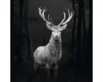 Hornbach Leinwandbild Grey Deer Head 27x27 cm