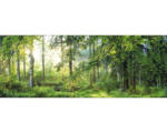 Hornbach Glasbild Forest Harmony I 80x30 cm GLA1945