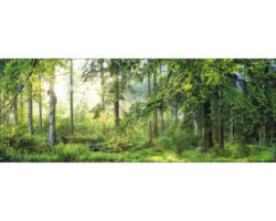 Glasbild Forest Harmony I 50x125 cm GLA1945