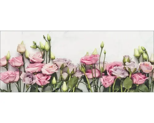 Glasbild Peonies IV 50x125 cm GLA2086