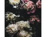 Hornbach Glasbild Baroque Peonies 30x30 cm GLA2092