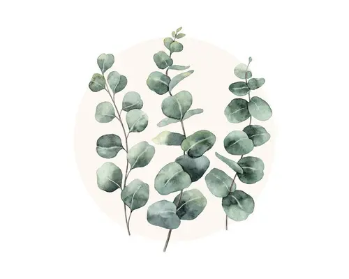 Glasbild Eucalyptus Branches l 20x20 cm GLA2096
