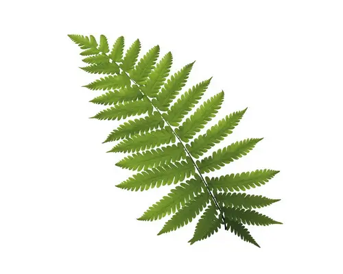 Glasbild Green Leafs III 30x30 cm GLA2098