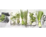 Hornbach Glasbild Ingredients VI 80x30 cm GLA2106