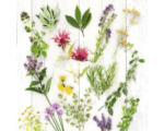 Hornbach Glasbild Herbs & Flowers 30x30 cm GLA2120