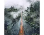 Hornbach Glasbild Suspension Bridge 20x20 cm