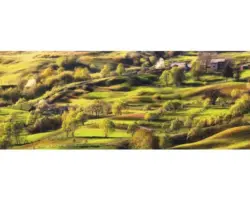 Glasbild Provence 30x80 cm GLA2128